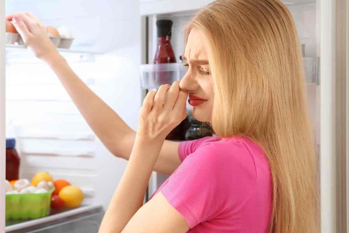 puzza frigorifero soluzioni