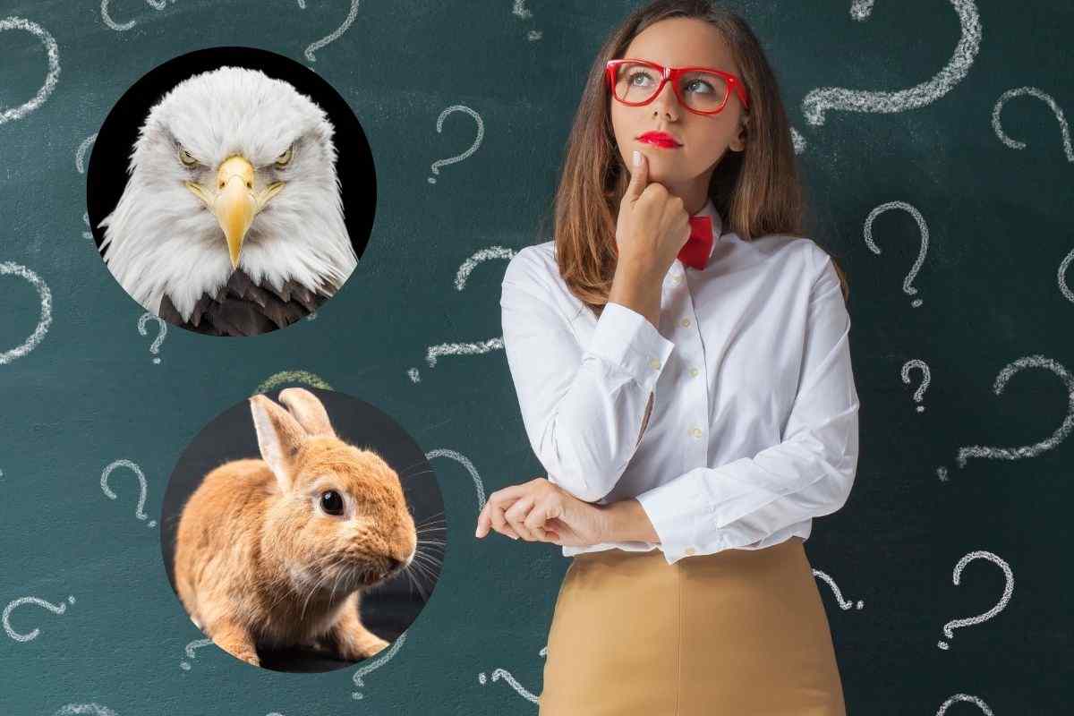 test personalità vedi prima l'aquila o il coniglio?