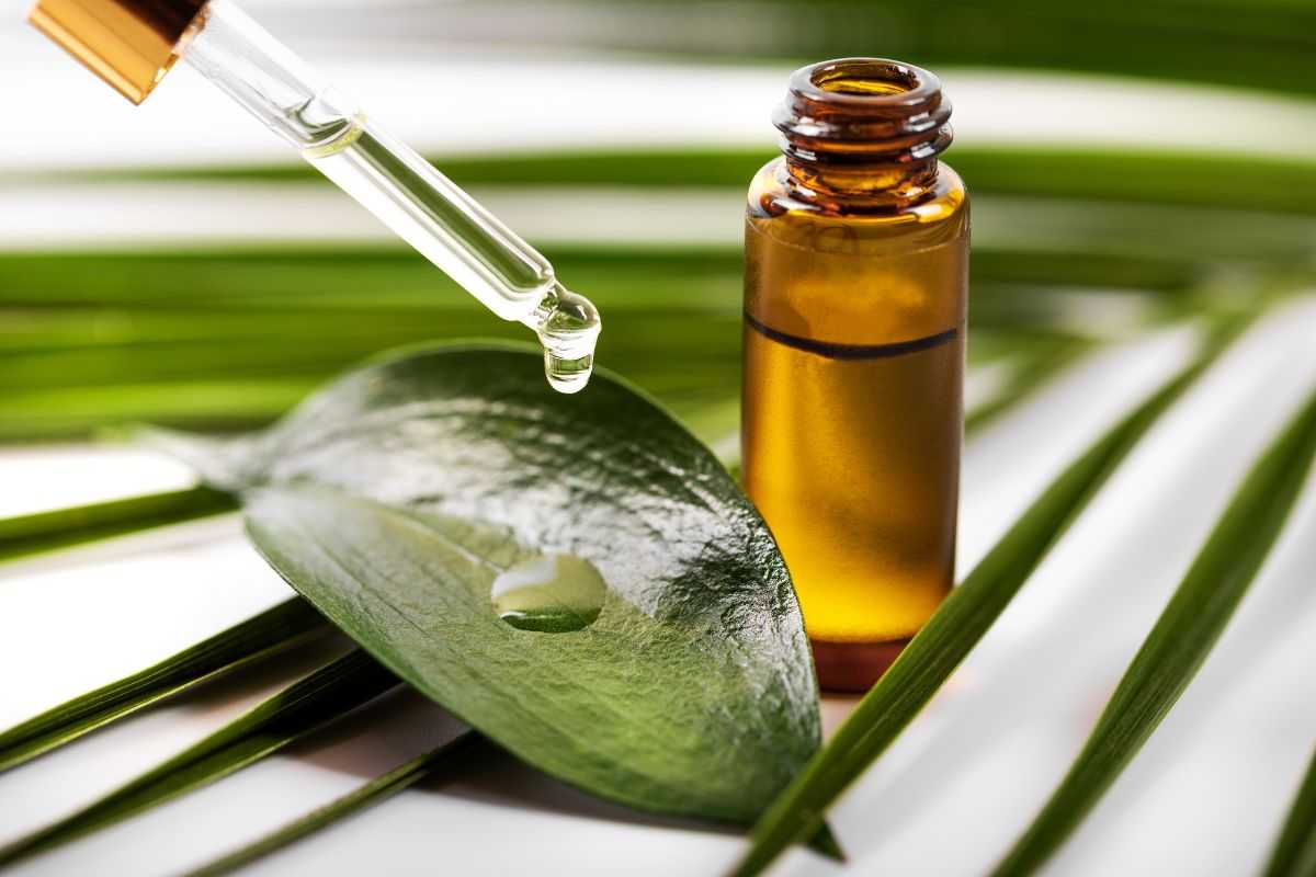 tea tree oil effetti sul corpo umano